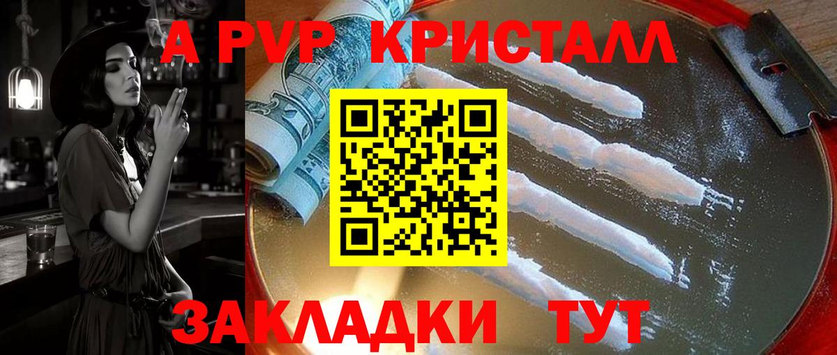 Alfa_PVP СК КРИС Кириши