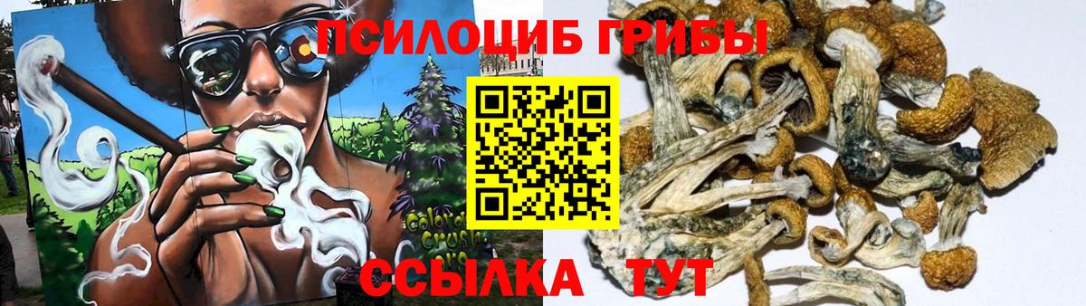 ГАШИШ Кириши