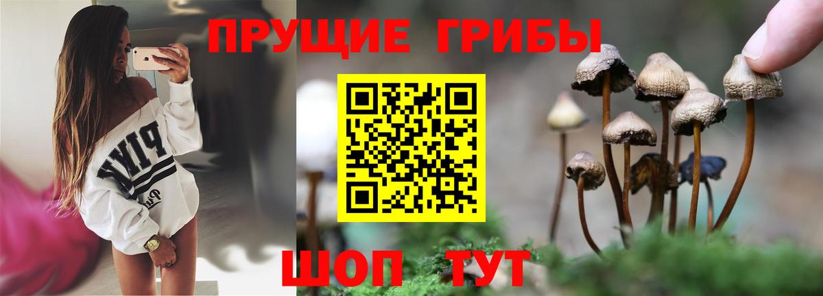 Галлюциногенные грибы ЛСД Кириши